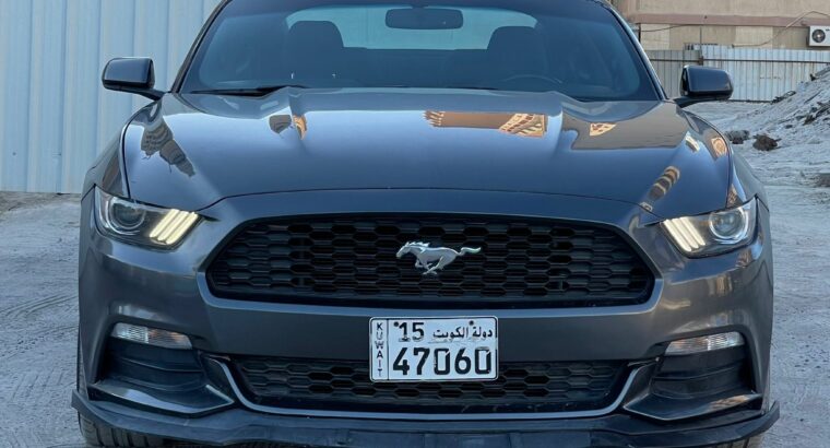 Mustang