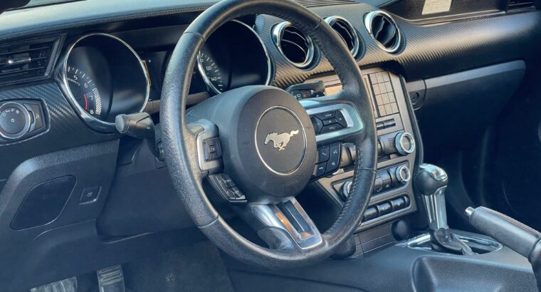 Mustang