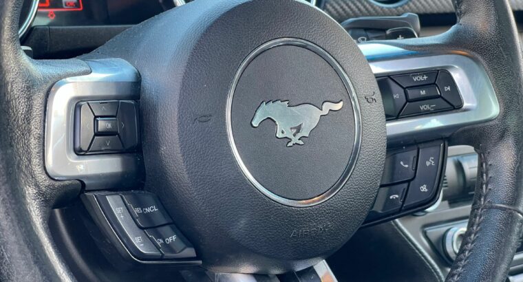 Mustang