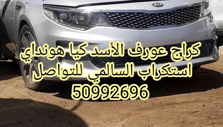 كراج عورف الأسد كيا هونداي استكراب السالمي