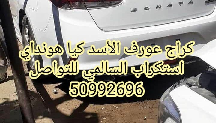 كراج عورف الأسد كيا هونداي استكراب السالمي