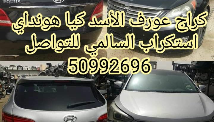 كراج عورف الأسد كيا هونداي سكراب النعايم ونشتري ال